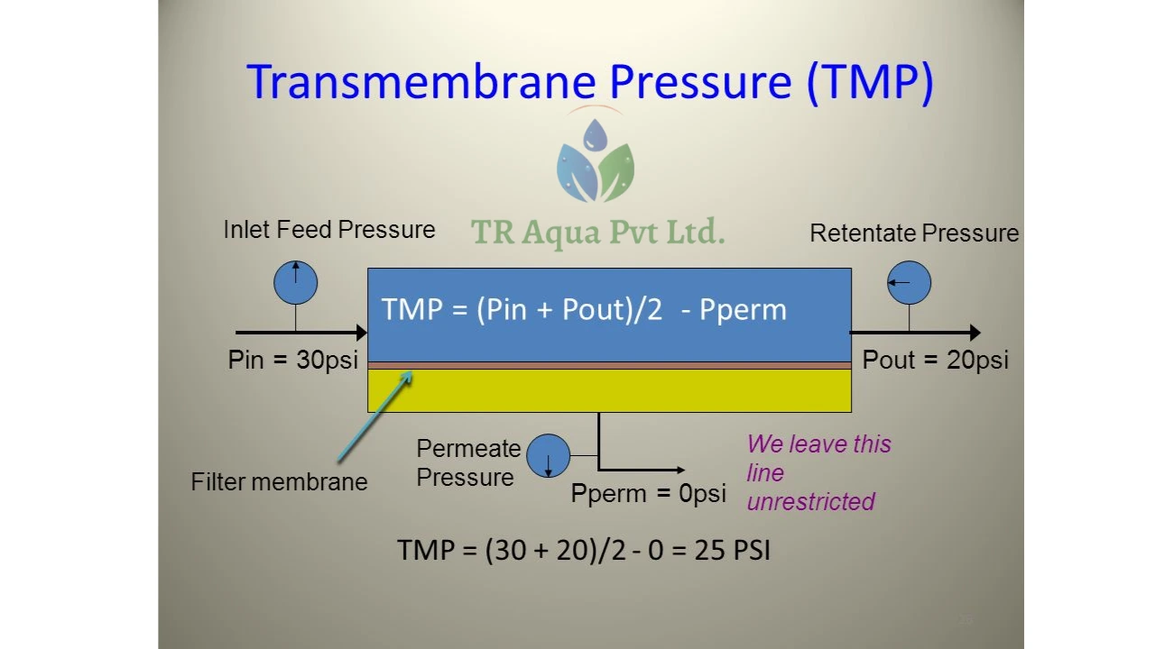 Transmembrane Pressure